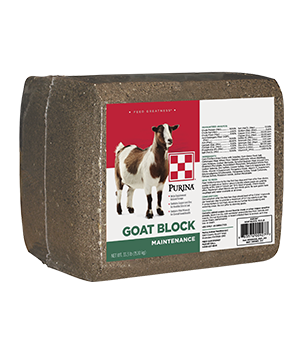 Purina® Goat Block For Sale