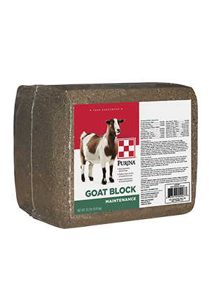 Purina® Goat Block For Sale