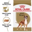 Royal Canin Breed Health Nutrition Boxer Adult Dry Dog Food Online