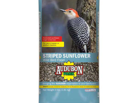 Audubon Park Striped Sunflower Seed Wild Bird Food Supply