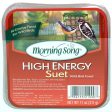 MORNING SONG HIGH ENERGY SUET For Sale