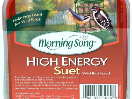 MORNING SONG HIGH ENERGY SUET For Sale