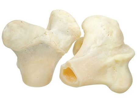 Redbarn Naturals White Knuckle Bone Online Hot Sale