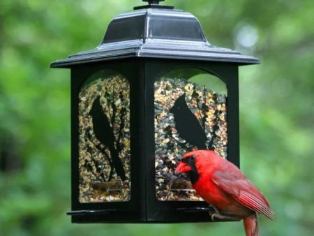 Woodstream Perky-Pet® Birds And Berries Lantern Wild Bird Feeder Supply