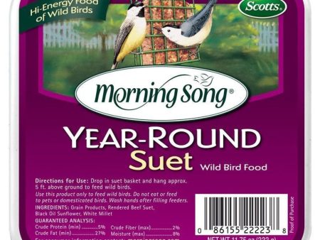 MORNING SONG YEAR-ROUND SUET Cheap