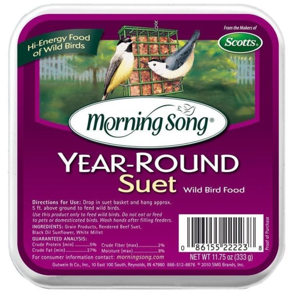 MORNING SONG YEAR-ROUND SUET Cheap