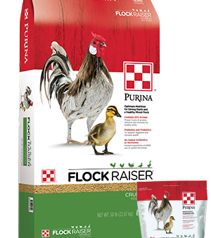 Purina® Flock Raiser® Crumbles Sale