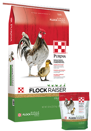 Purina® Flock Raiser® Crumbles Sale