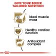 Royal Canin Breed Health Nutrition Boxer Adult Dry Dog Food Online