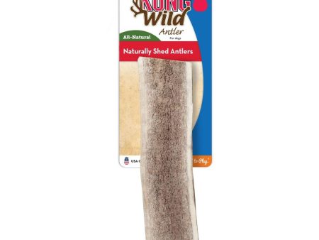 KONG Wild All-Natural Split Elk Antler for Dogs on Sale