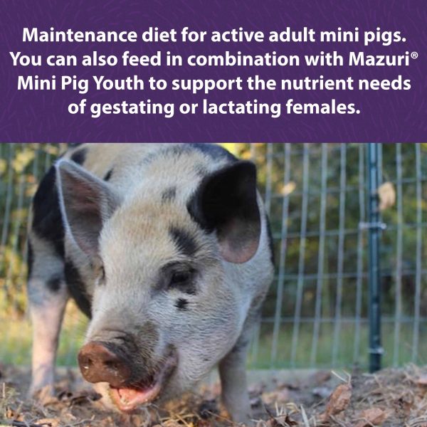 Mazuri® Mini Pig Active Adult Online