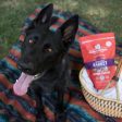 Stella & Chewy s Freeze-Dried Raw Dinner Patties For Dogs - Absolutely Rabbit Recipe For Discount