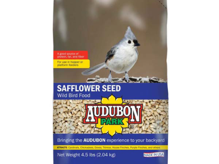 Audubon Park Safflower Seed Wild Bird Food Sale