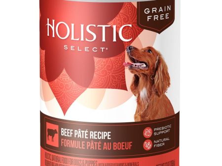 Holistic Select Natural Grain Free Beef Recipe Canned Dog Food Cheap