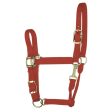 Hamilton 1  Quality Nylon Halters with Adjustable Chin Strap & Snap Online Hot Sale