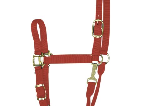 Hamilton 1  Quality Nylon Halters with Adjustable Chin Strap & Snap Online Hot Sale