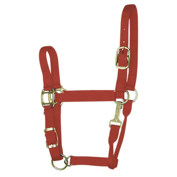 Hamilton 1  Quality Nylon Halters with Adjustable Chin Strap & Snap Online Hot Sale