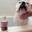 Natural Dog Company Unscented Itchy Skin Hypoallergenic Dog Shampoo 12oz Discount