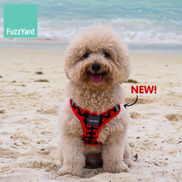 FuzzYard Step-In Dog Harness (Heart Breaker) Online now