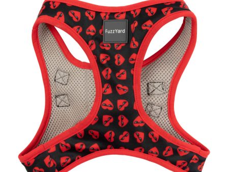 FuzzYard Step-In Dog Harness (Heart Breaker) Online now