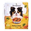 BossiPaws Salmon Stew With Pastry Frozen Dog Treat 250g Online Hot Sale