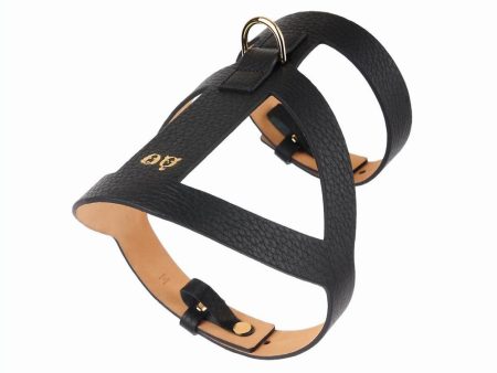 30% OFF: Moshiqa Lucca Leather Dog Harness (Black) Online Hot Sale