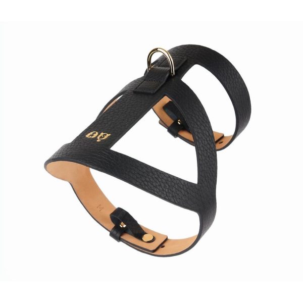 30% OFF: Moshiqa Lucca Leather Dog Harness (Black) Online Hot Sale