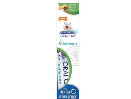 10% OFF: Nylabone Advanced Oral Care Natural Dog Toothpaste 70g (Peanut Butter) For Discount