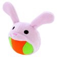 Petz Route Gabuccho Ball Zoozoo Rabbit Dog Toy Online Sale