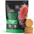 BUNDLE DEAL : Absolute Holistic Patties Lamb & Tuna Grain-Free Freeze-Dried Dog Food 12.7oz Online Hot Sale