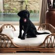 Fura Albi Rattan Bed For Cats & Dogs (Almond) For Cheap