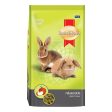 Smartheart Apple Flavour Rabbit Food 1kg (Exp 5 Jul 23) on Sale