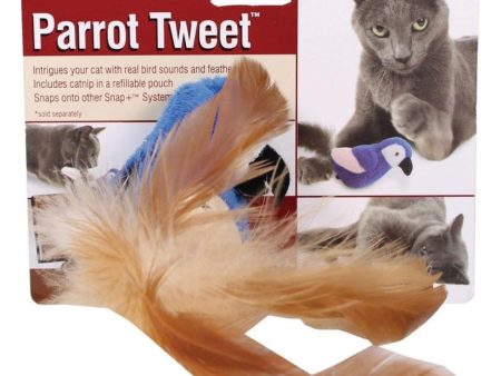 PARROT TWEET CAT TOY on Sale