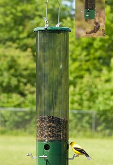 Woodlink  The Bouncer  Squirrel-Resistant Tube Feeder For Discount